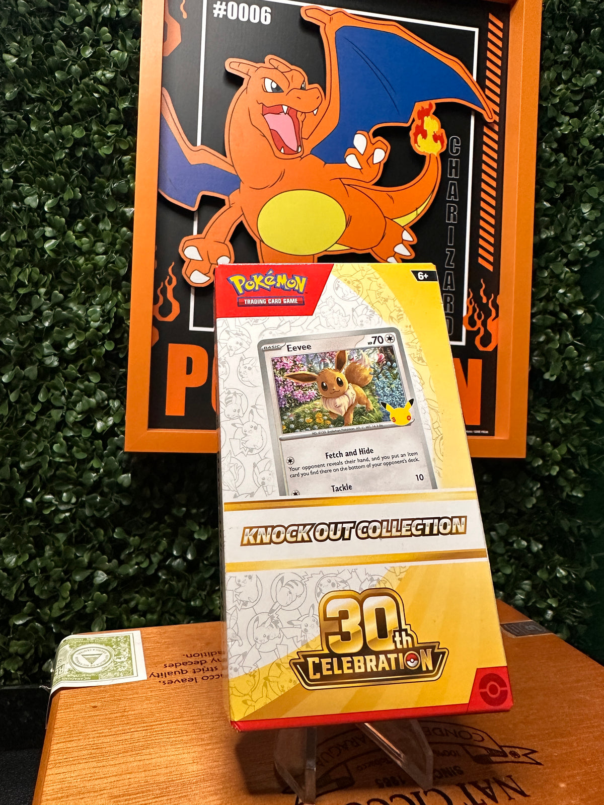 Pokémon 30th Celebration Knock Out Collection Box