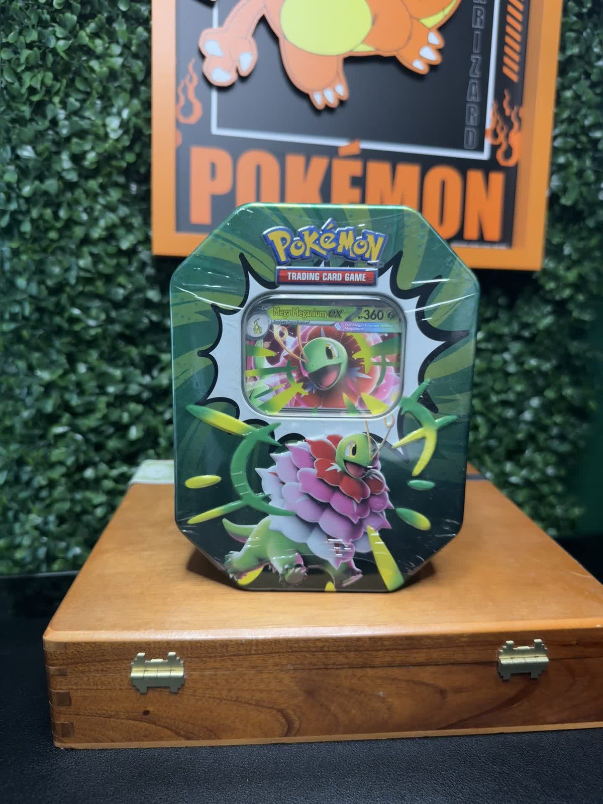 Pokémon Mega Meganium ex tin front